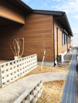 �f�C�P�A�Z���^�[�Ђ���@�����s