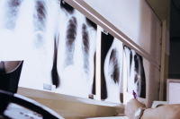 ���ȁ@�f�Èē�