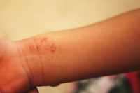 �畆�ȁ@�f�Èē�